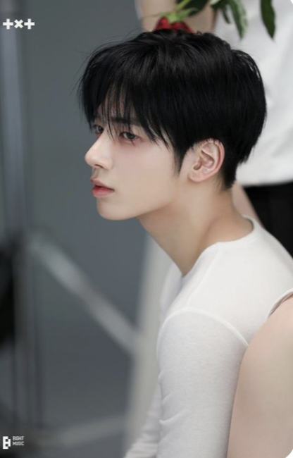 다섯별 이미지