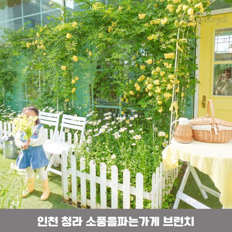 소풍을파는가게 이미지