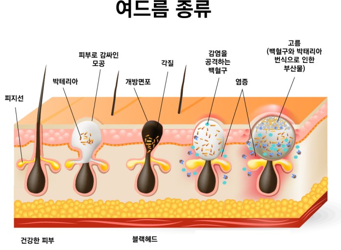 지성의원 이미지