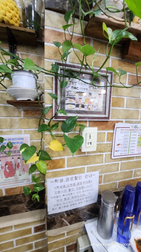 가이오국수 이미지