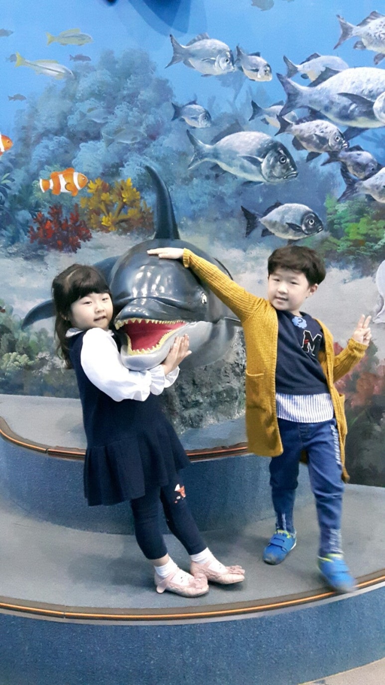 미니고래집 이미지