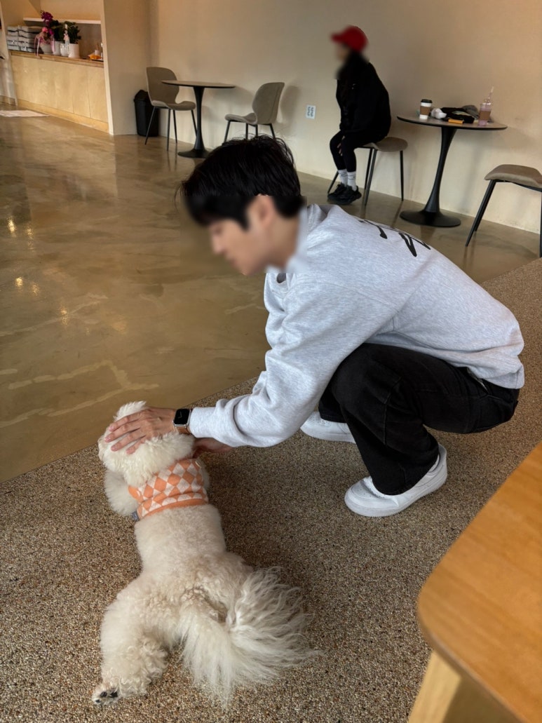 음성다방 이미지