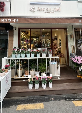 아크앤시엘 이미지