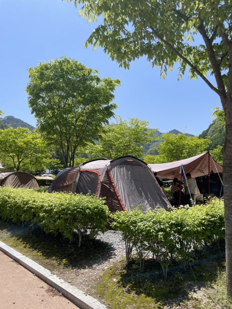 천동오토캠핑장 이미지