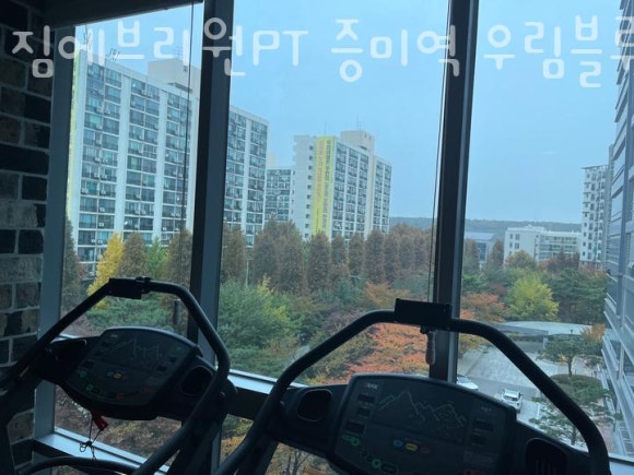 511짐 이미지