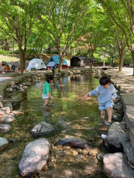 천동오토캠핑장 이미지