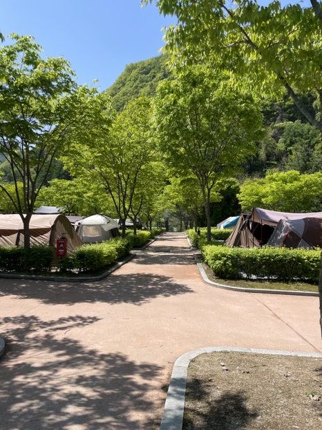 천동오토캠핑장 이미지