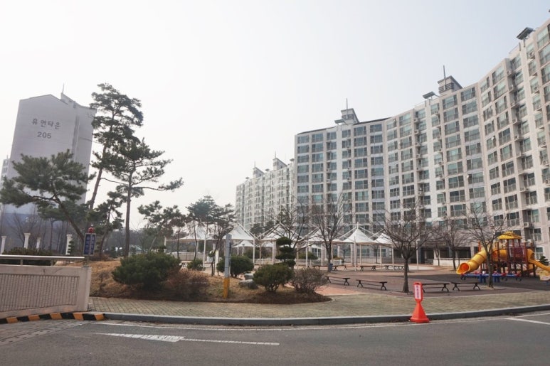 삼부비디오 이미지