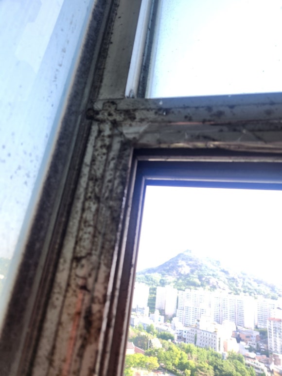 극동크린 이미지