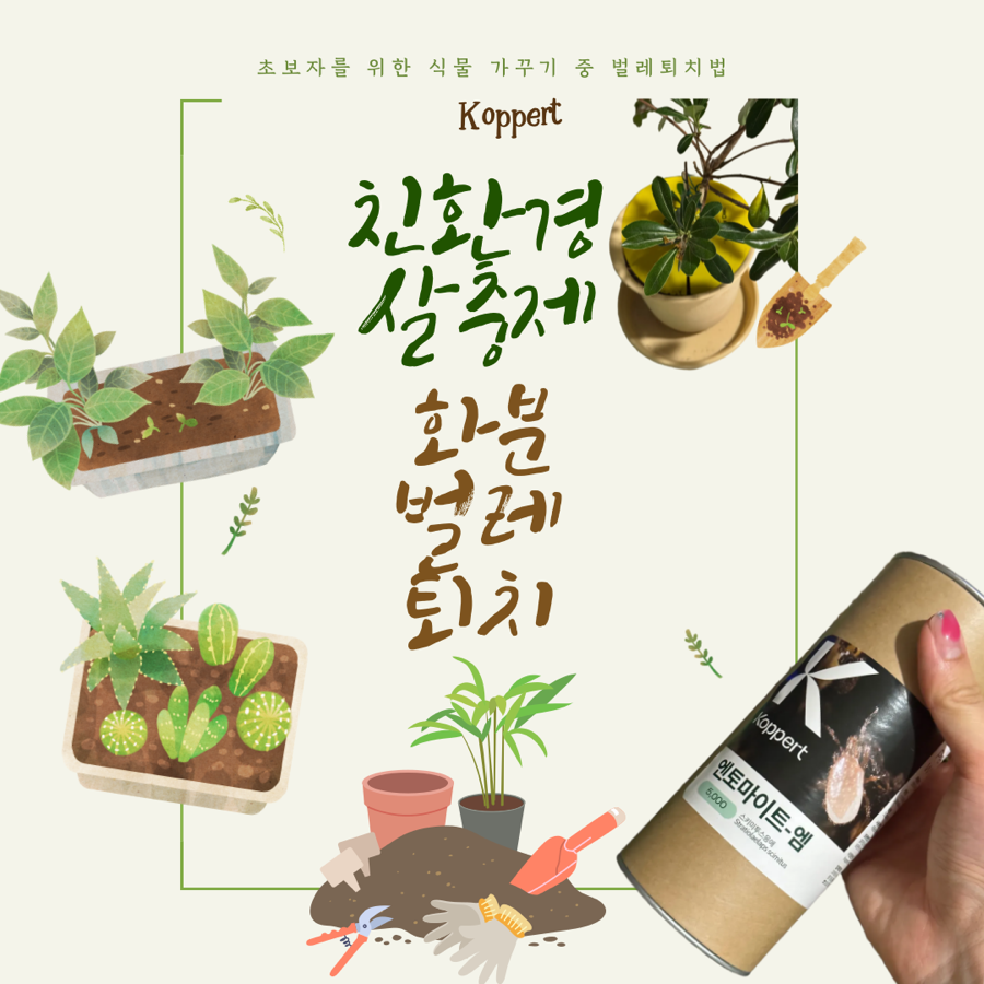 엠퍼트 이미지