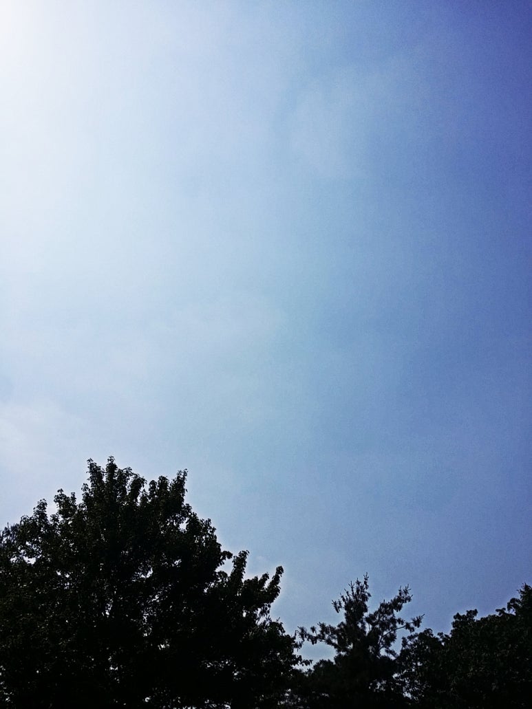 박*현 이미지