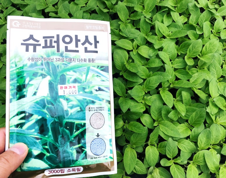 봉계농약사 이미지