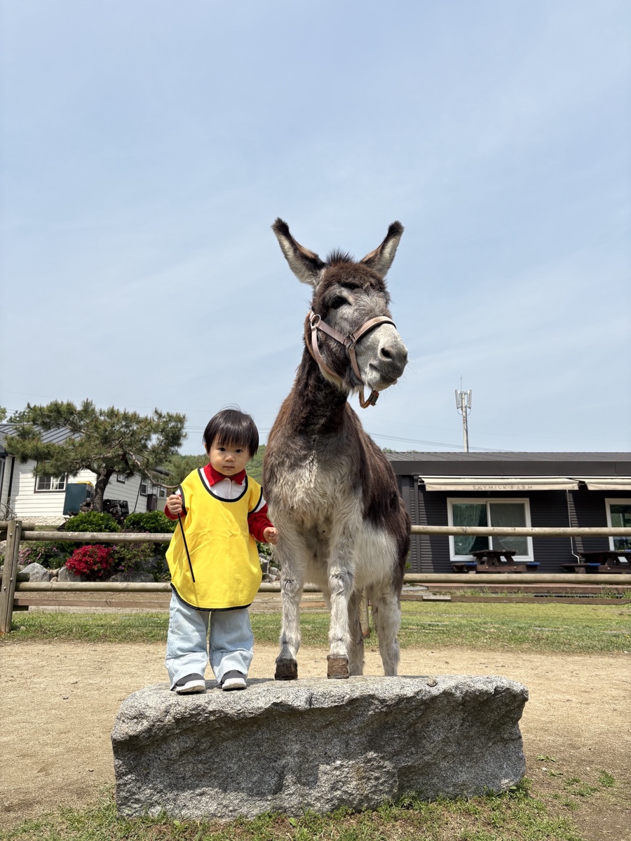 베이커리소풍 이미지