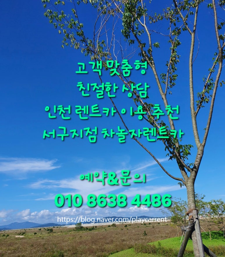 차놀자렌트카 이미지