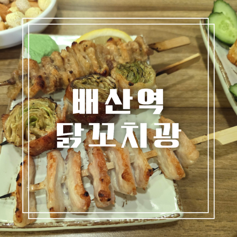 닭꼬치광 이미지