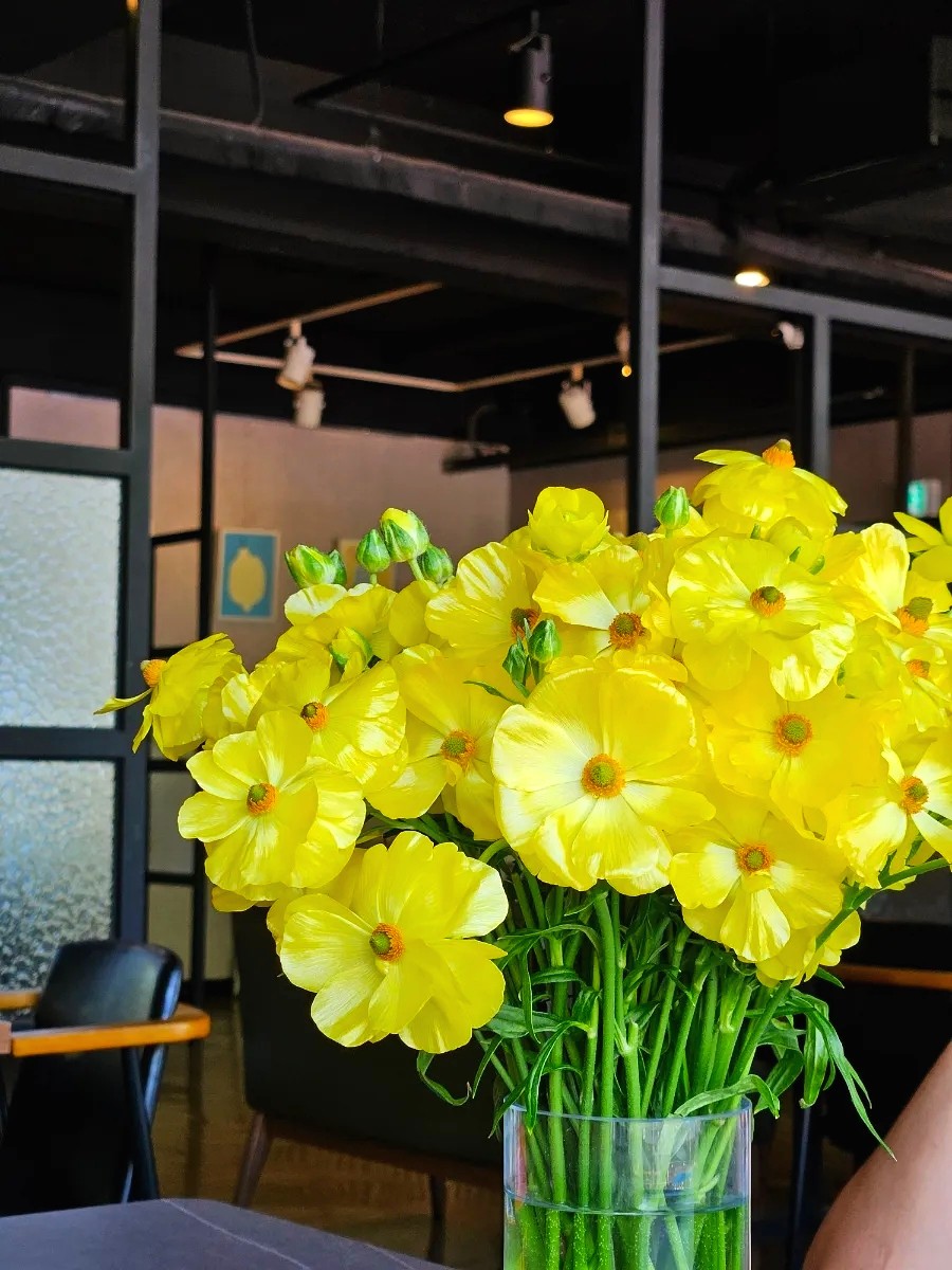 카페아우룸 이미지