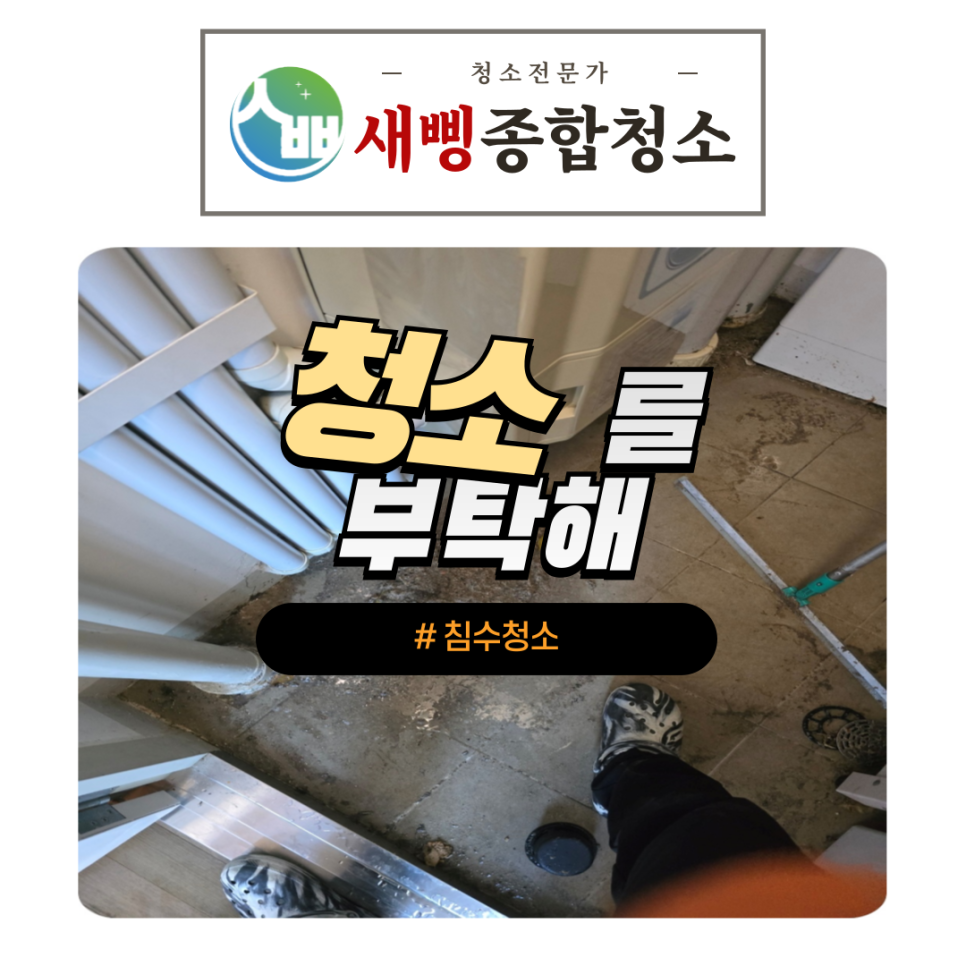 새삥종합청소 경기강원지사 이미지