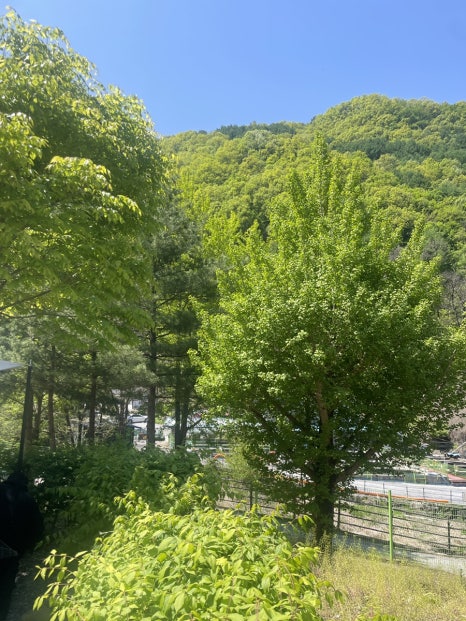 천동오토캠핑장 이미지