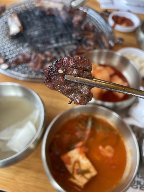 조선돼지 이미지