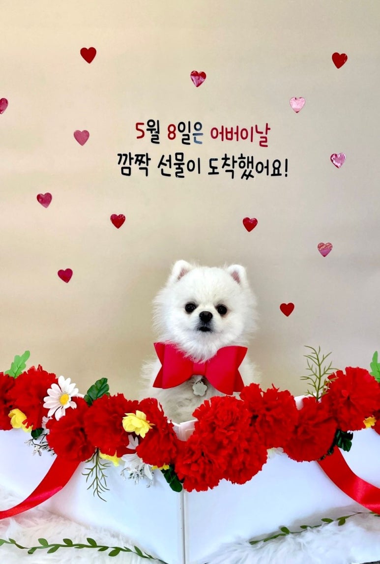 멍스럽 이미지