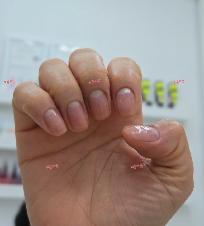 더 네일리 이미지