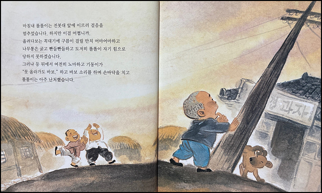 노마셀 이미지
