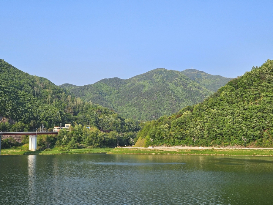 카페아우룸 이미지