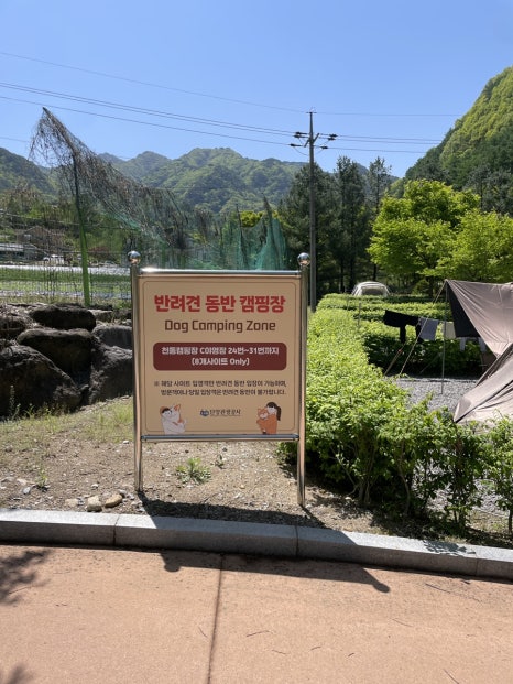 천동오토캠핑장 이미지
