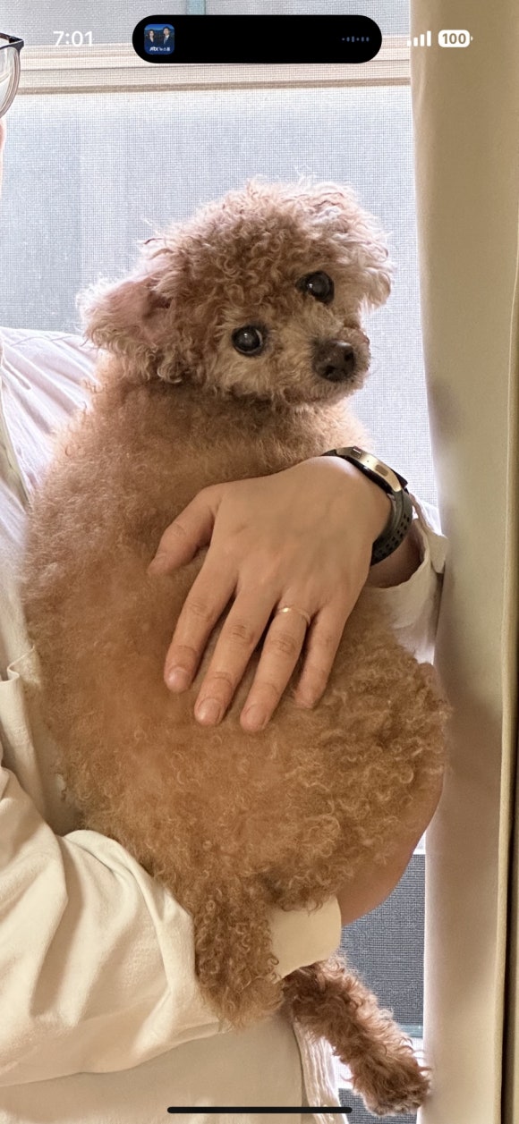 신가네집밥 이미지