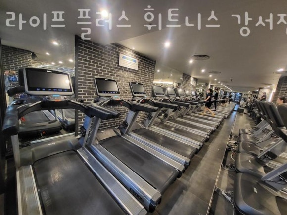 플러스휘트니스 이미지