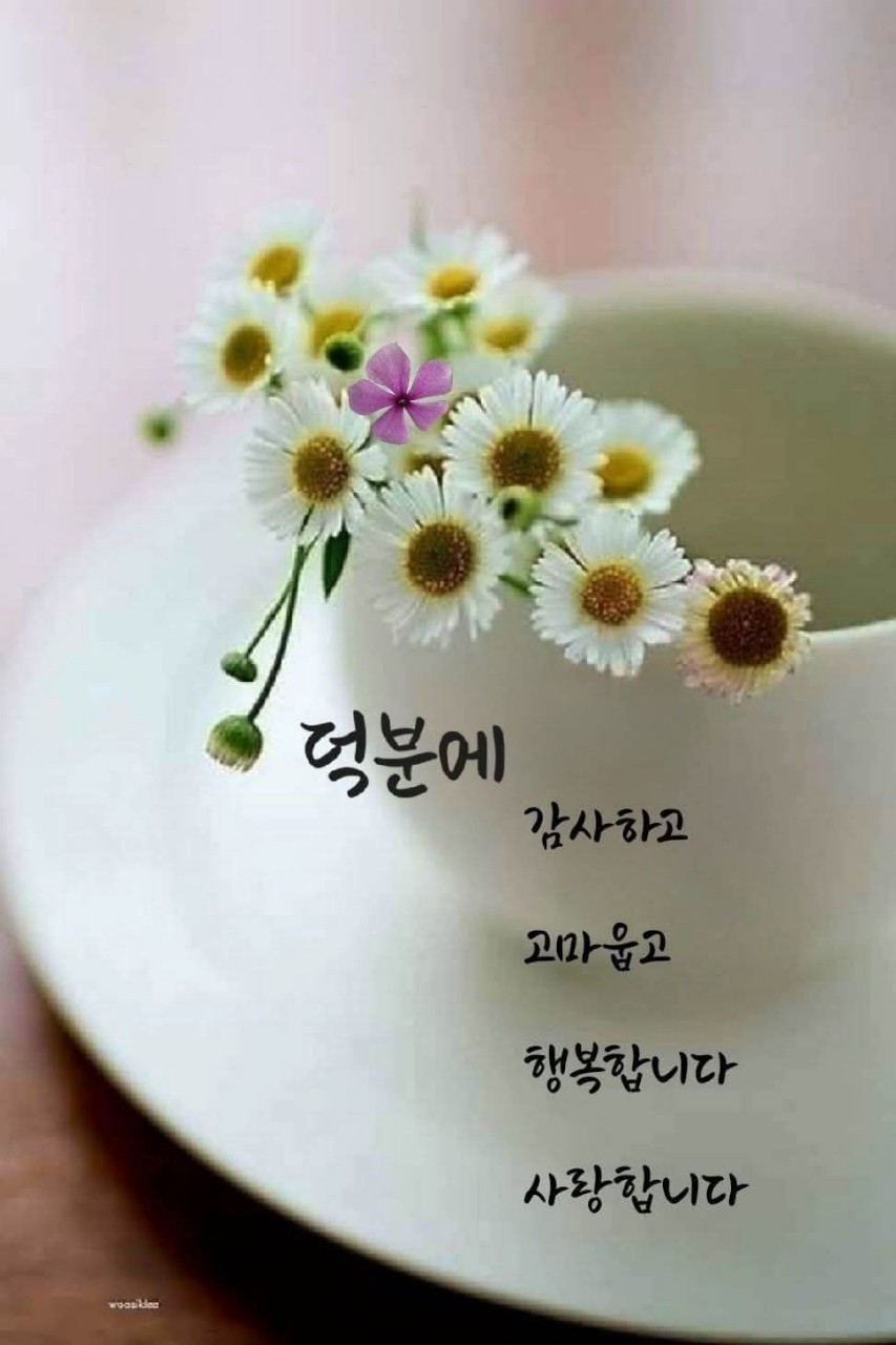 (주)펀네트 이미지