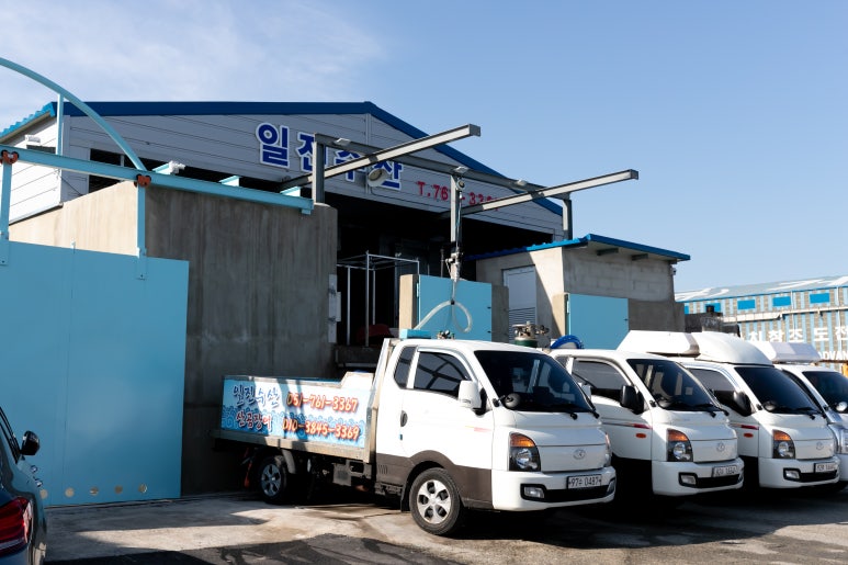 일진유통 이미지