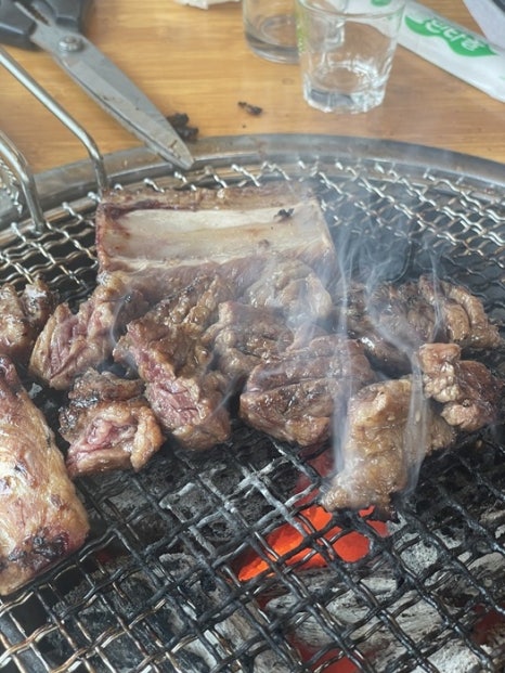 조선돼지 이미지