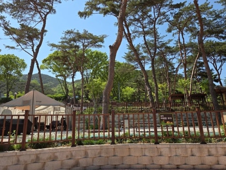 교룡공원 숲속야영장 이미지