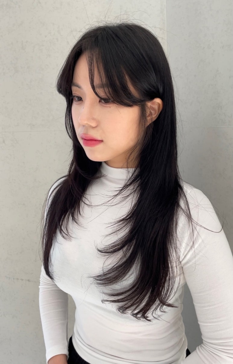 메이에르 이미지