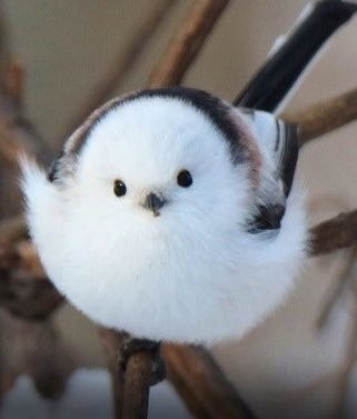 아라고 이미지