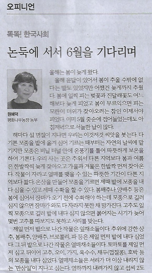 평화수퍼 이미지