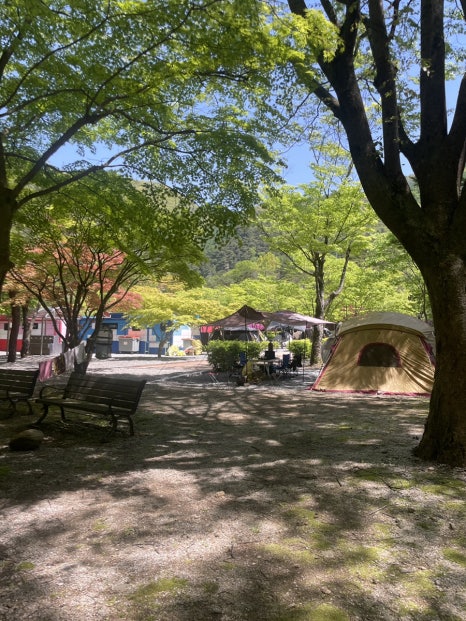 천동오토캠핑장 이미지