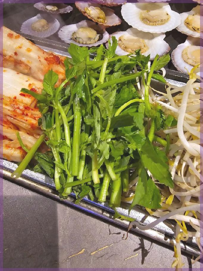 조개걸윷모 이미지