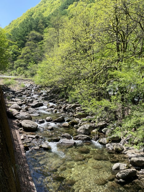 천동오토캠핑장 이미지