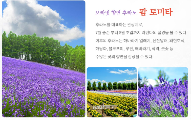 더품격 이미지