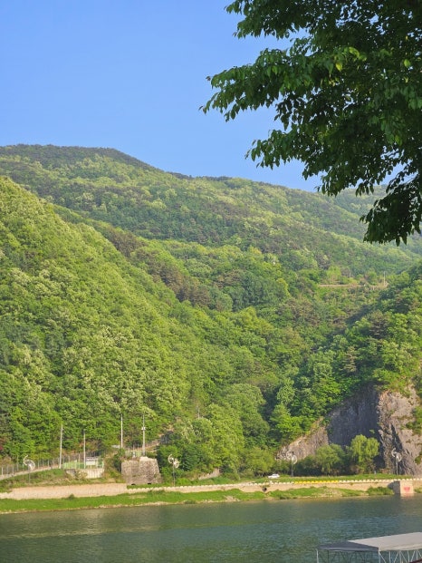 카페아우룸 이미지