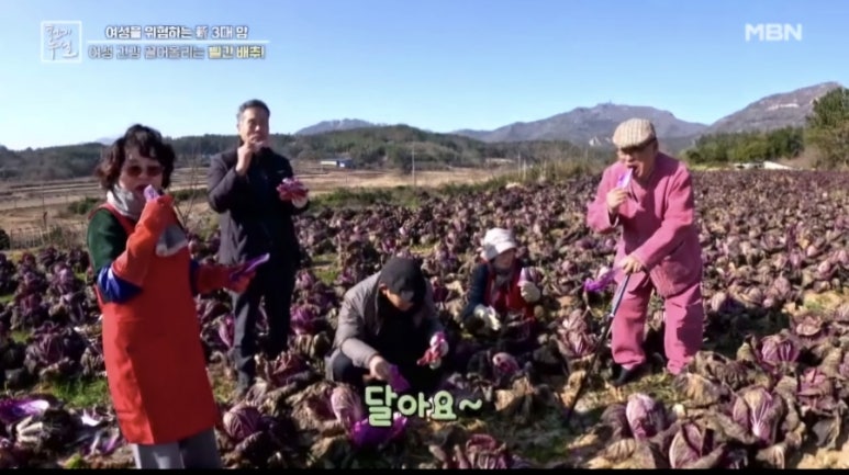 다솜투어 이미지