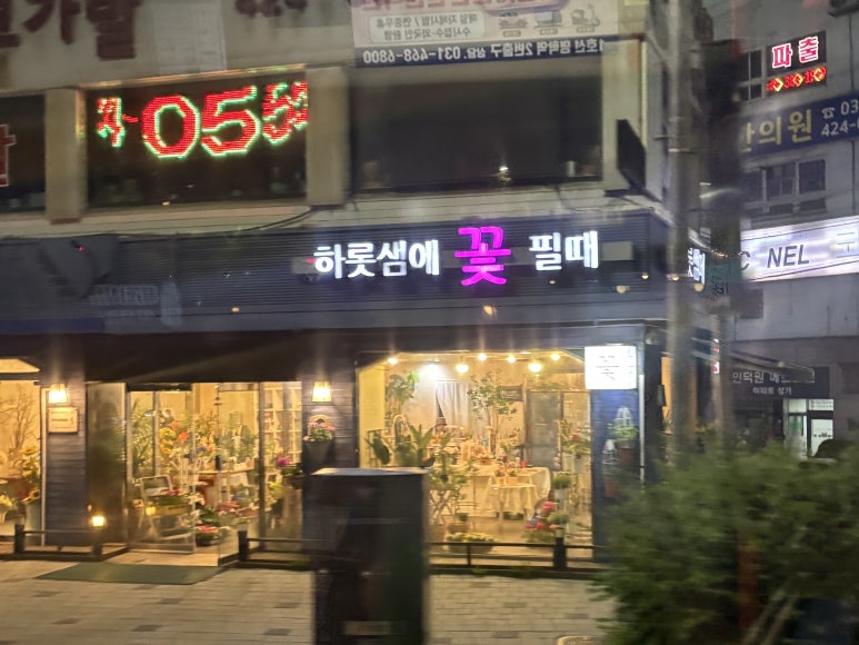 꽃필때 이미지