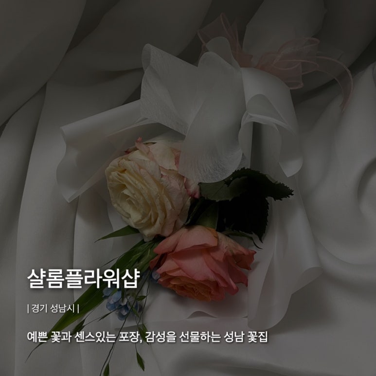 샬롬샵 이미지