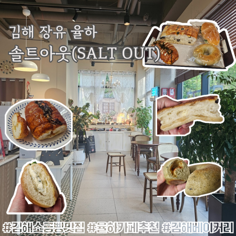 솔트아웃(salt out) 이미지