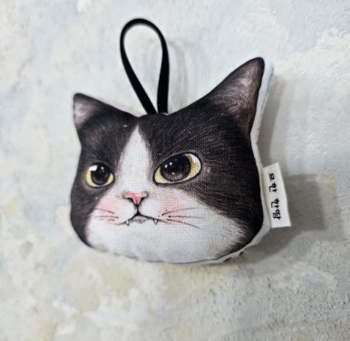 묘한 한땀 이미지