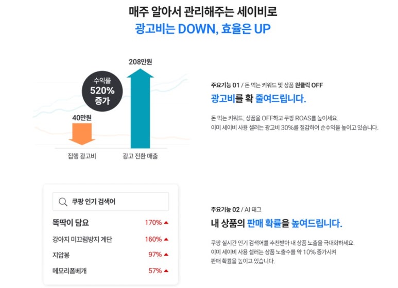 셀러니즈 이미지