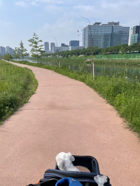 포장마차탄 이미지