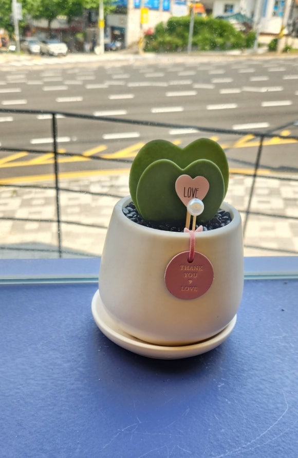 토끼다방 이미지